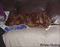LaylaGift25-12-08