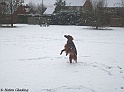 LaylaJump30-11-10