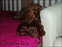 LaylaOnBed09-11-06