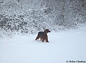 LaylaPark19-12-10