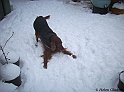 LaylaPlay19-12-10