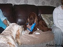 Presents25-12-09_7