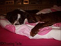 TiaLaylaBed03-07-08