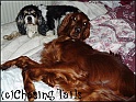 Layla&JemOnBed09-05-04