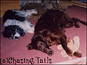 Layla&JemOnFloorApril2004