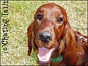 Layla@TenderingShow10-07-04