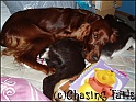 LaylaAndTiaAsleep01-12-04
