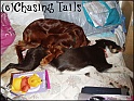 LaylaAndTiaTogether01-12-04