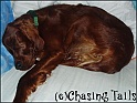 LaylaAsleep23-09-04