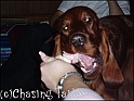 LaylaChewDownNans30-12-04