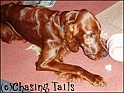 LaylaEating09-05-04