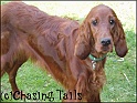 LaylaInGarden22-05-04