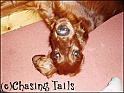LaylaLookingUp09-05-04