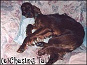 LaylaMay2004_11MthsOld