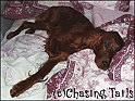 LaylaOnBed15-07-04