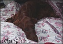LaylaOnbed09-07-04