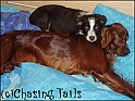 LaylaTiaOnBed17-11-04