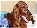 LaylasYawn18-09-04