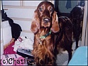 Layla01-01-05