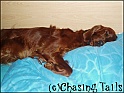 LaylaAsleep01-09-05