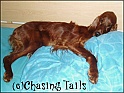 LaylaBedCute01-09-05