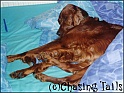 LaylaInBed20-08-05