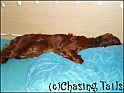 LaylaLayingOnBed01-09-05
