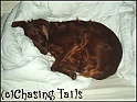 LaylaOnMyBed20-03-05