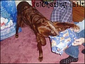 LaylaOpeningHerChristmasPresent25-12-05