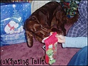 LaylaReceivingHerChristmasPresent25-12-05