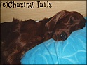 LaylaSleep01-09-05