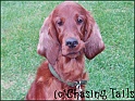 LaylaSweet06-08-05