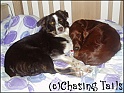 TiaLayla23-12-05