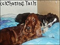 TiaLaylaBed27-10-05