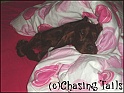 Layla07-01-06