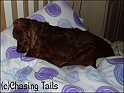 LaylaAsleeponBed09-12-06