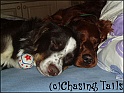 TiaWithLayla10-03-06