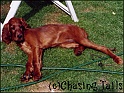Layla13Wks_11-09-03