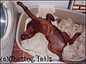 LaylaAsleep17-08-03