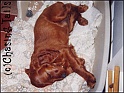 LaylaInBed17-08-03