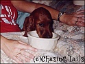 LaylaMilk9wksOld_17-08-03
