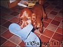 LaylaNickingShoe17-08-03
