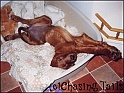LaylaStrawn17-08-03
