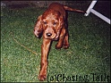 LaylaWet17-08-03