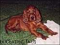 LaylaWetInGarden17-08-03