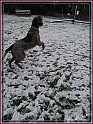 20130115_144451