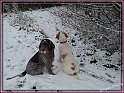 20130119_150142