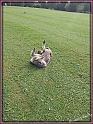 20130927_130446