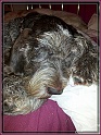 20131120_192710
