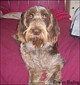 MayaBedPretty10-07-09
